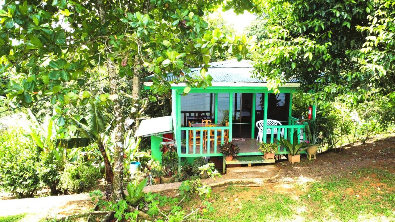 Cabana Ara Macao Lodge Drake Bay Exterior photo